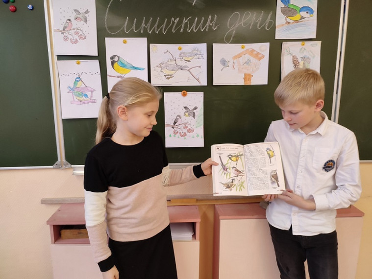 12 ноября - Синичкин день..