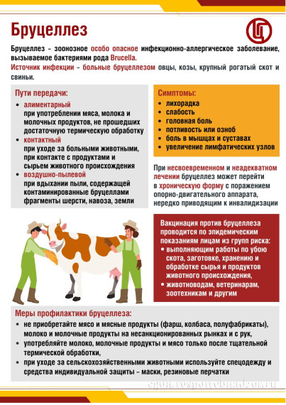 Бруцеллез — это опасно!.